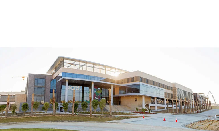 New Giza University